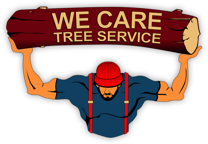 Tree Service Jacksonville Fl